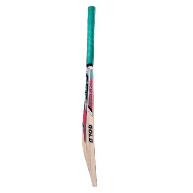 CA Gold 3000 Cricket Bat