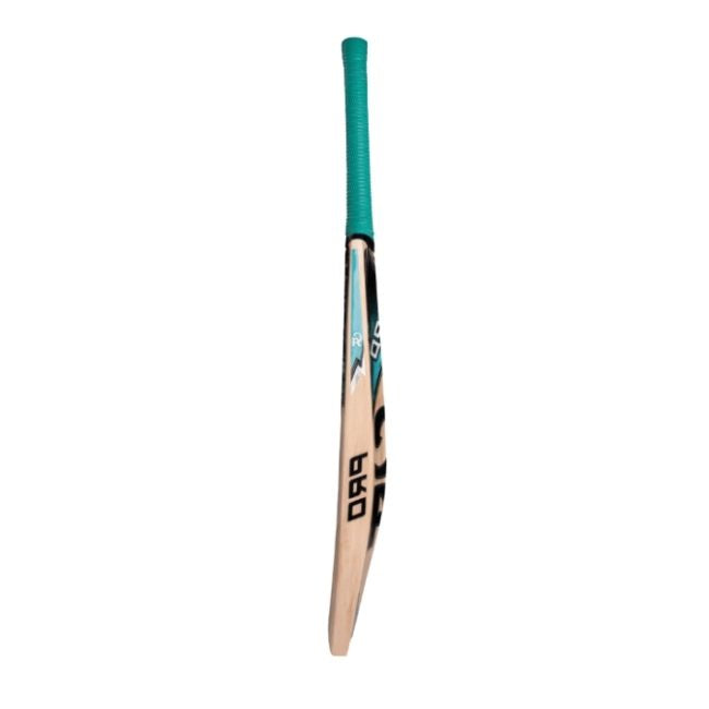 CA Pro 2000 Cricket Bat