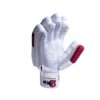 HS 2 Star Batting Gloves