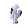 HS 2 Star Batting Gloves