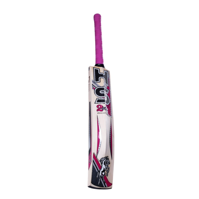 HS 2 Star Cricket Bat