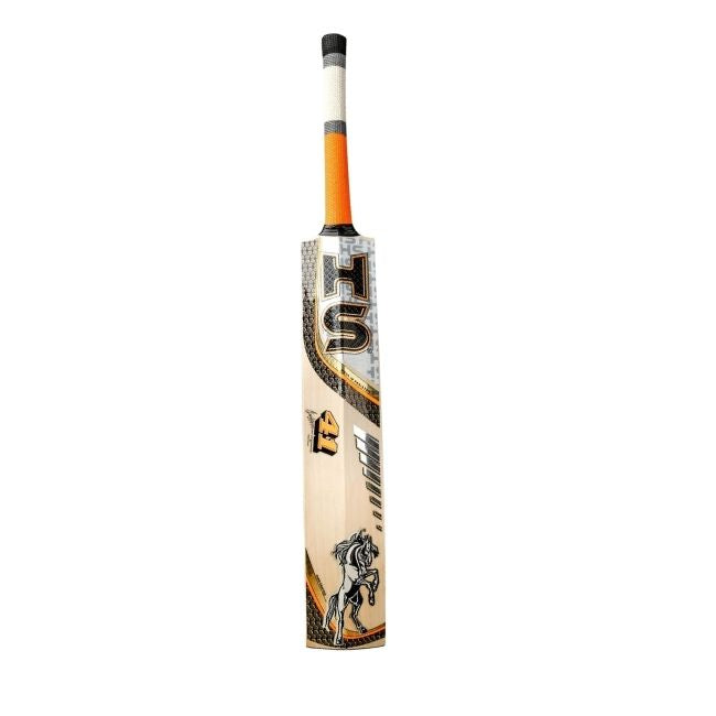 HS 41 Cricket Bat