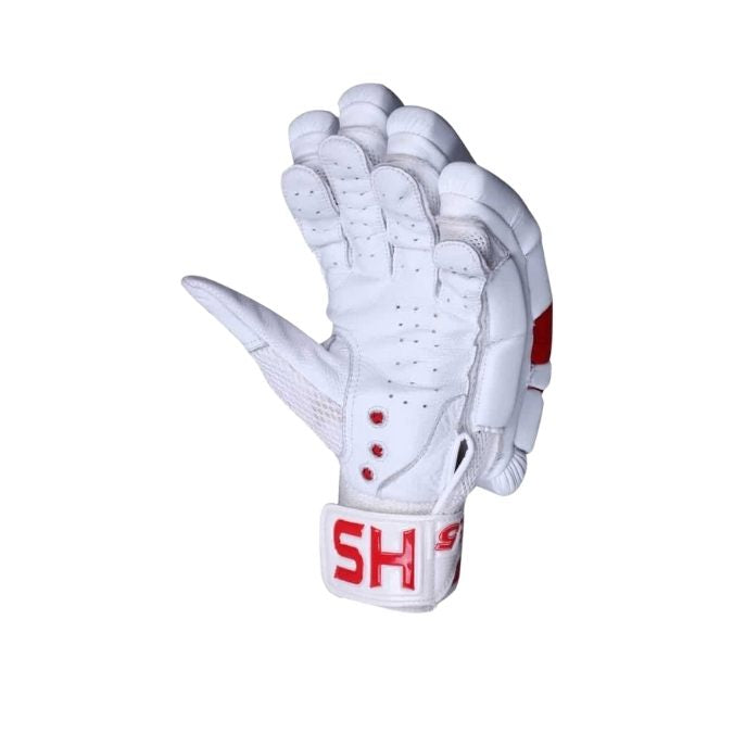 HS Core 5 Batting Gloves