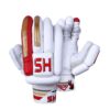 HS Core 5 Batting Gloves
