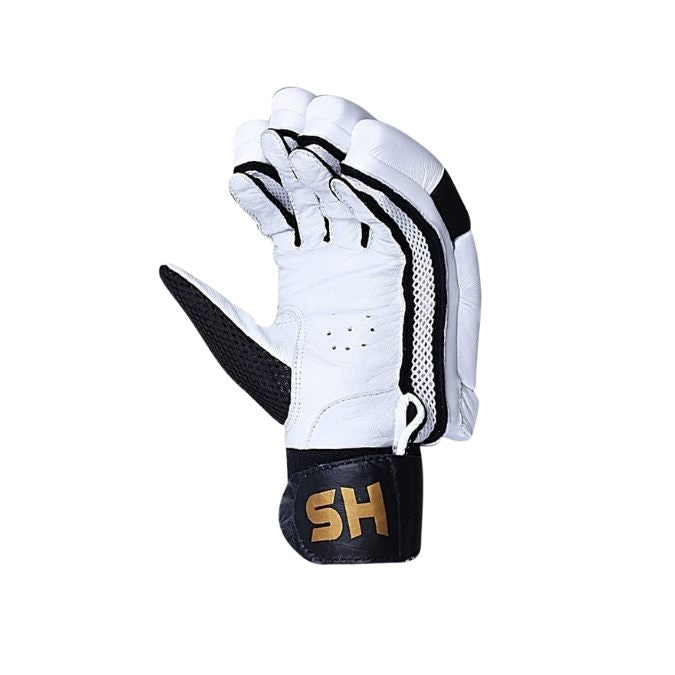 HS T20 Batting Gloves