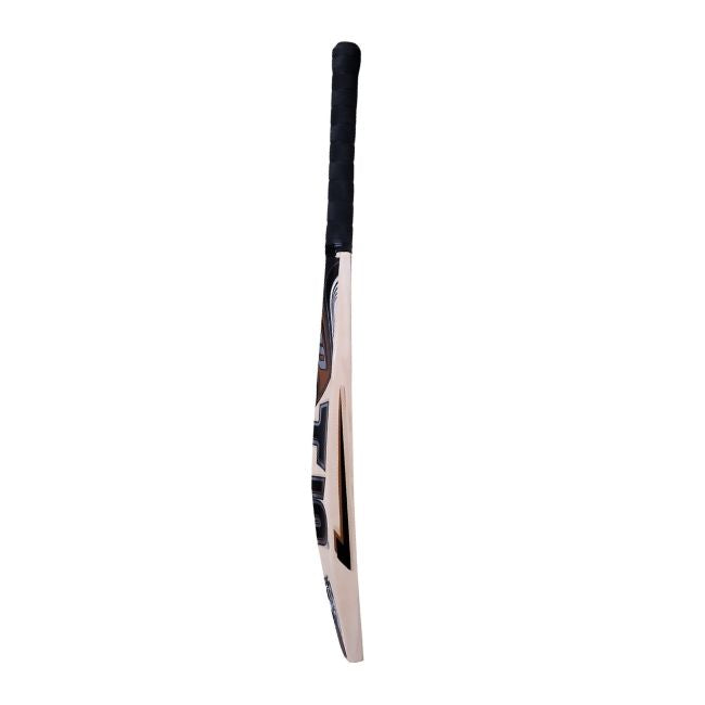 HS T20 Cricket Bat