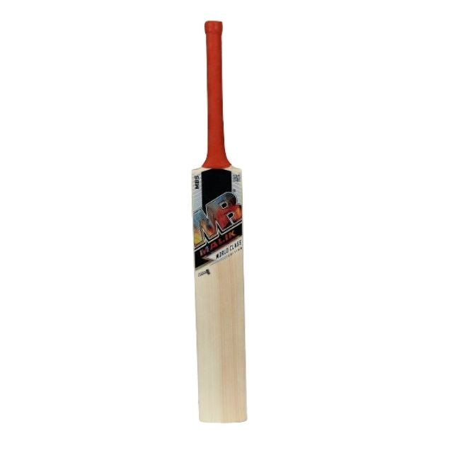 MB World Class (AK) Azam Khan Bat