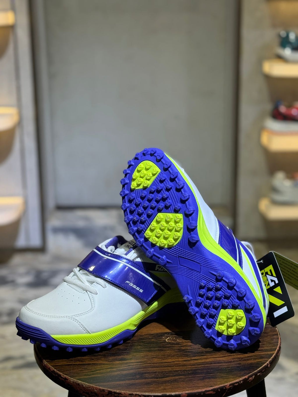 Fg Don 555 Cricket Shoes