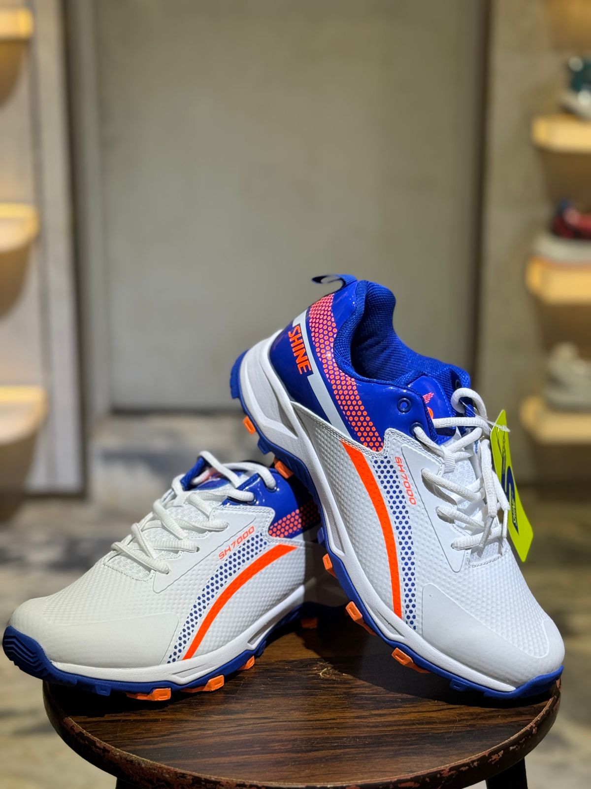 Shine Sh - 7000 Cricket Shoes