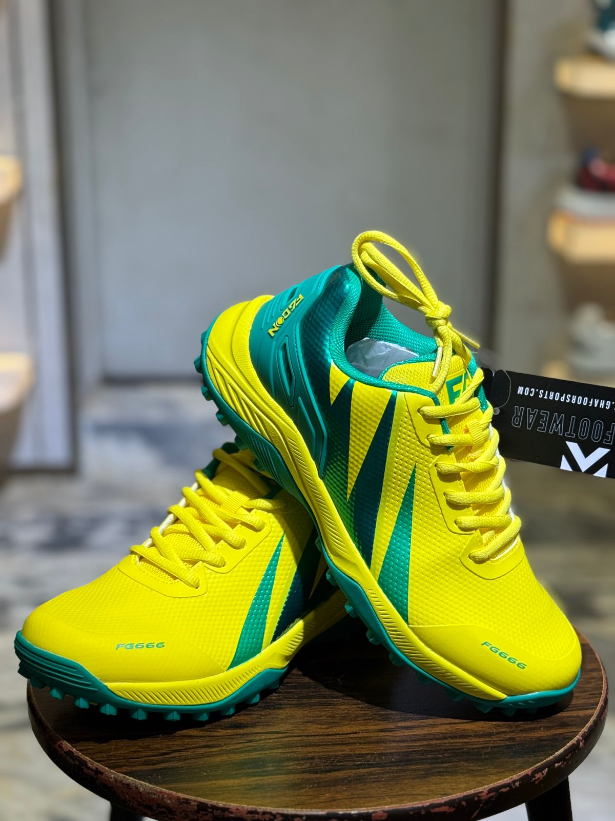 Fg 666 Cricket Shoes