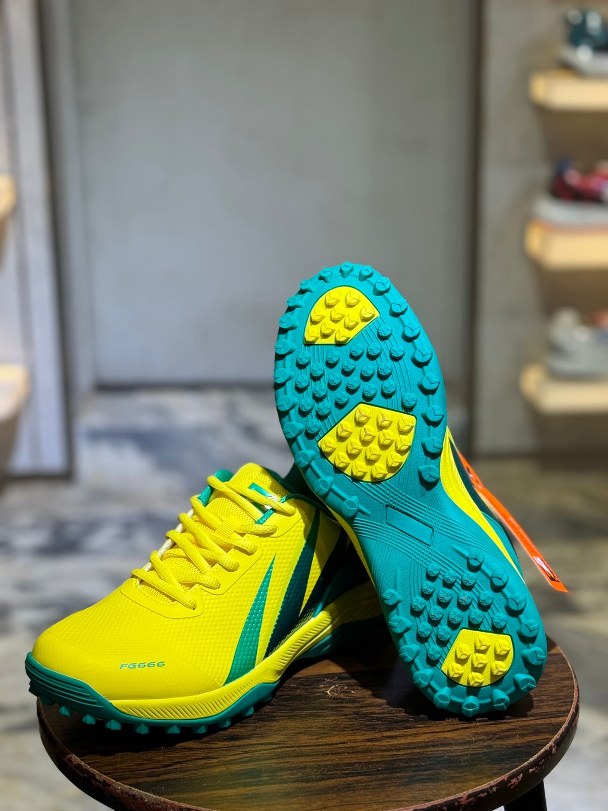 Fg 666 Cricket Shoes
