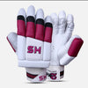 HS 2 Star  Cricket Gloves